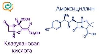 Побыстрому о лекарствах Амоксициллин и клавулановая кислота [upl. by Aitnahc]