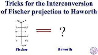 Tricks for the interconversion of Fischer projection to Haworth projection [upl. by Eenad]