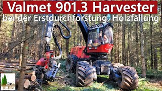 Valmet 9013 Harvester  Erstdurchforstung im Schwarzwald  CabView [upl. by Ishmael]