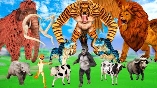 Giant Tiger Wolf vs Giant Snake vs Mammoth Elephant  Bagh or Saamp vs Hathi  बाघ vs साँप vs हाथी [upl. by Aicatsanna]