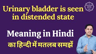 Urinary bladder is seen in distended state meaning in Hindi [upl. by Nnaeerb]