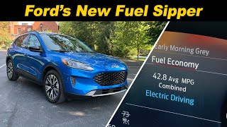 2020 Ford Escape Hybrid  Watch Out RAV4 [upl. by Narcho]