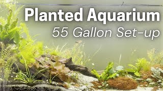 55 Gallon Planted Aquarium SetUp [upl. by Sonia348]