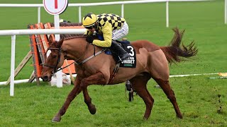 STATE MAN lands successive Morgiana Hurdles at Punchestown [upl. by Esilehs800]