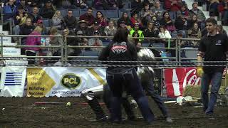 Jousting blasts into Agribition [upl. by Ylevol371]