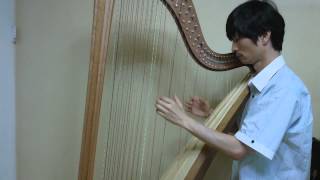 Folk Music Beautiful Tune Arirang 아리랑 하프 연주 하피스트 김흥곤 Cross Strung Harp [upl. by Seale1]