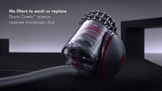 Dyson CY26 Cinetic Big Ball Animal 2 Product Video [upl. by Anitan]