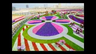 Miracle Garden Dubai [upl. by Cornel]