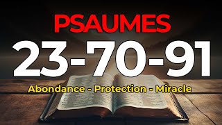 🙏 PSAUME 237091  03 Prières Puissantes Pour Obtenir Protection et Miracle Urgent [upl. by Ellecrag]