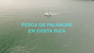 Pesca de palangre en Costa Rica [upl. by Jovitta]