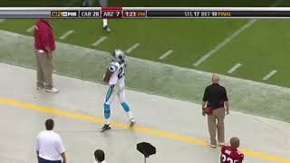 Panthers vs Cardinals 2009 Week 8 [upl. by Eeralih838]