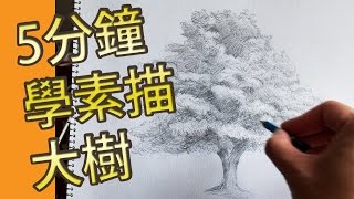 5分鐘學素描大樹屯門畫室素描教學班5 mins drawing tutorial Treetuenmunstudiocom [upl. by Rahal]