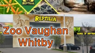 Reptilia Zoo Voughan Whitby  Canada Zoo  Animal Zoo in canada 🇨🇦 [upl. by Land654]