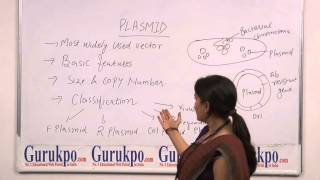 Plasmid lecture BSc MSc by Dr Leena Kansal [upl. by Lacagnia]