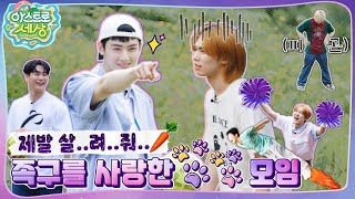 아스트로 세상 언제 끝나 그냥… 졌어 우리가🔥 드르륵 탁…⏪ EP3 [upl. by Salvidor]