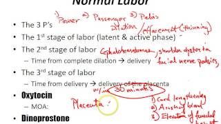 USMLE Review  Obstetrics Labor [upl. by Elinor]