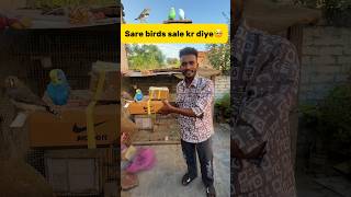 Sare birds sale kr diye🥺 petlover minivlog kabutarvlog budgies parrot sale viralshort birds [upl. by Sivert]