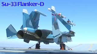 Sukhoi Su33 quotthe Flanker Fighterquot Air Superiority Fighter Jet [upl. by Orford]