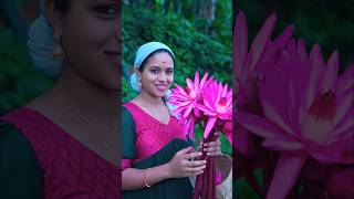 ഞങ്ങളുടെ തിരുവോണ ആഘോഷം 🌼🪷🪷saranyasbeautyvlogs [upl. by Tterb]