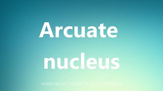 Arcuate nucleus  Medical Definition [upl. by Dirgni]