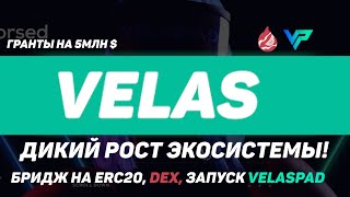 Дикий рост экосистемы VELAS Запуск DEX Мост на ERC20 Запуск VelasPAD поддержка Metamask🤑 [upl. by Ivon]