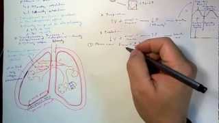 Respiratory Physiology [upl. by Nyrak861]