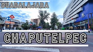 Camine por el corredor de Chapultepec en Guadalajara  Antros bares y mas  4K [upl. by Keon204]