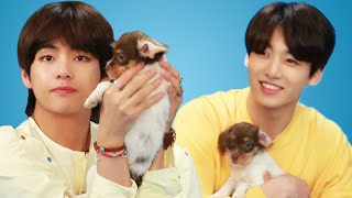 BTS Plays With Puppies While Answering Fan Questions [upl. by Akcemat695]