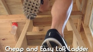 How To Build A Cheap and Easy Tiny House Loft Ladder [upl. by Kolva30]