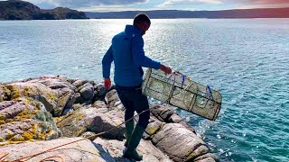 Lobster pot fishing cliff jumping and shrimping  Scottish Highlands [upl. by Fawcett]