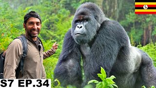 Finally My Dream Gorilla Safari in Uganda 🇺🇬 S7 EP34  Pakistan to South Africa [upl. by Al]