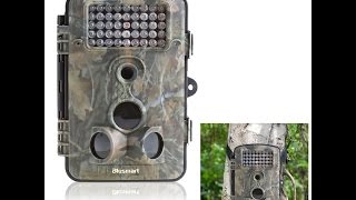 Review of Wildlifesurveillancetrail outdoor camera by Blusmart [upl. by Anatsirhc]