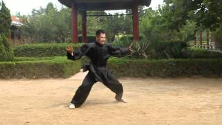 An Wushu  Baji Quan [upl. by Brotherson]