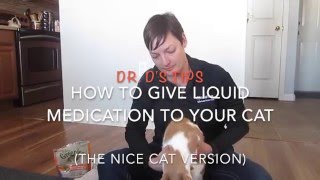 How To Give Liquid Medication To A Cat The Nice Version [upl. by Deedahs522]