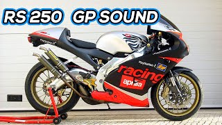 APRILIA RS 250  GP exhausts Flyby sound [upl. by Nye]