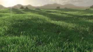 Grassy Field Animation [upl. by Lebyram]