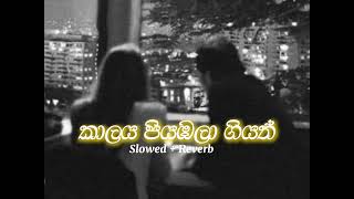 Kalaya Piyabala Giyath  කාල‍ය පියඹලා ගියත්  Slowed  Reverb [upl. by Pain186]