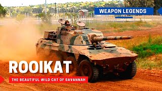 Rooikat armoured reconnaissance vehicle  The wild cat of the savannah [upl. by Helman]