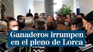 Unos ganaderos irrumpen en el pleno del Ayuntamiento de Lorca en defensa de las macrogranjas [upl. by Porett]