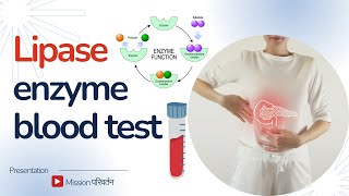 Natural ways to maintain a normal Lipase in body  Lipase enzyme function [upl. by Cooperman]