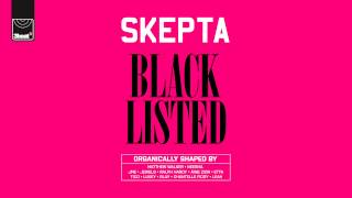 Skepta  Blacklisted  Track 5 [upl. by Hescock]