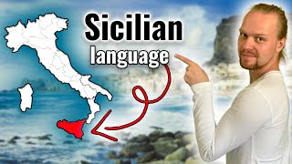 Sicilian Language vs Italian vs Spanish vs Portuguese  Can they understand it [upl. by Press]