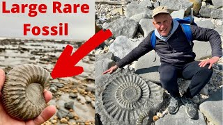 Fossil Hunting For Awesome Ammonites At Charmouth [upl. by Kerred]