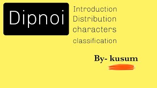 Dipnoi origin Distribution characters classification MSc BScBy kusum science workshop [upl. by Seavir]