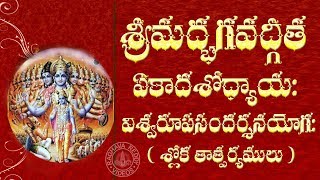 SRIMAD BHAGAVAD GITA CHAPTER 11 TELUGU LYRICS AND MEANING [upl. by Drusus]