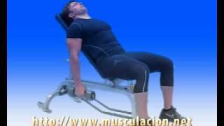 4Curl de Biceps sentado en banco inclinado mancuernas [upl. by Schwitzer228]