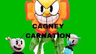 Cagney carnation [upl. by Polloch]