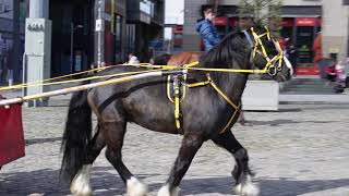 Smithfield Horse Fair Dublin p3 07042024 [upl. by Henriha]