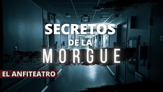 Relato Forense  SECRETOS de la MORGUE  EL ANFITEATRO  Historias de Morgues reales  La morgue [upl. by Moriarty]