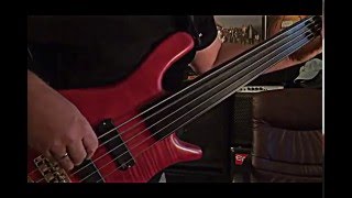 Funky Fretless Bass Guitar  Andy Irvine [upl. by Ordnaxela]